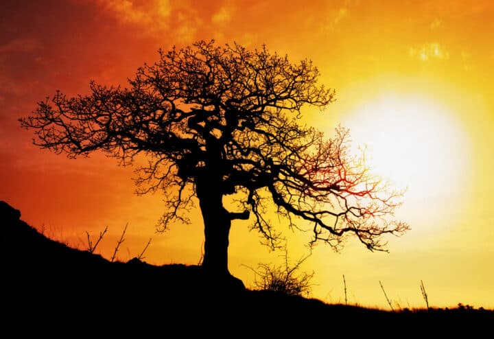 Afrique ENR soleil